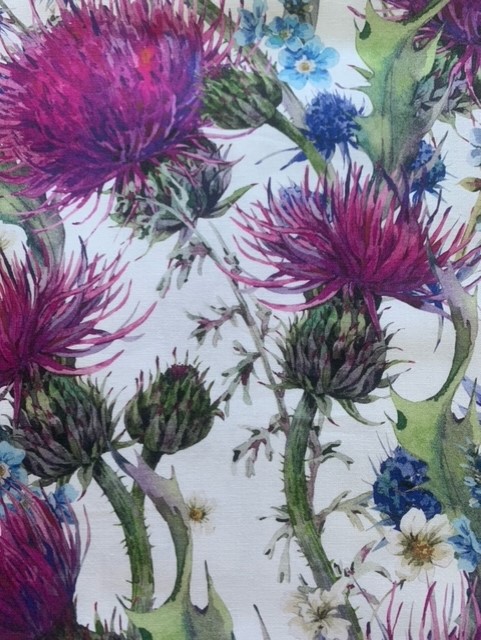Thistle Cotton