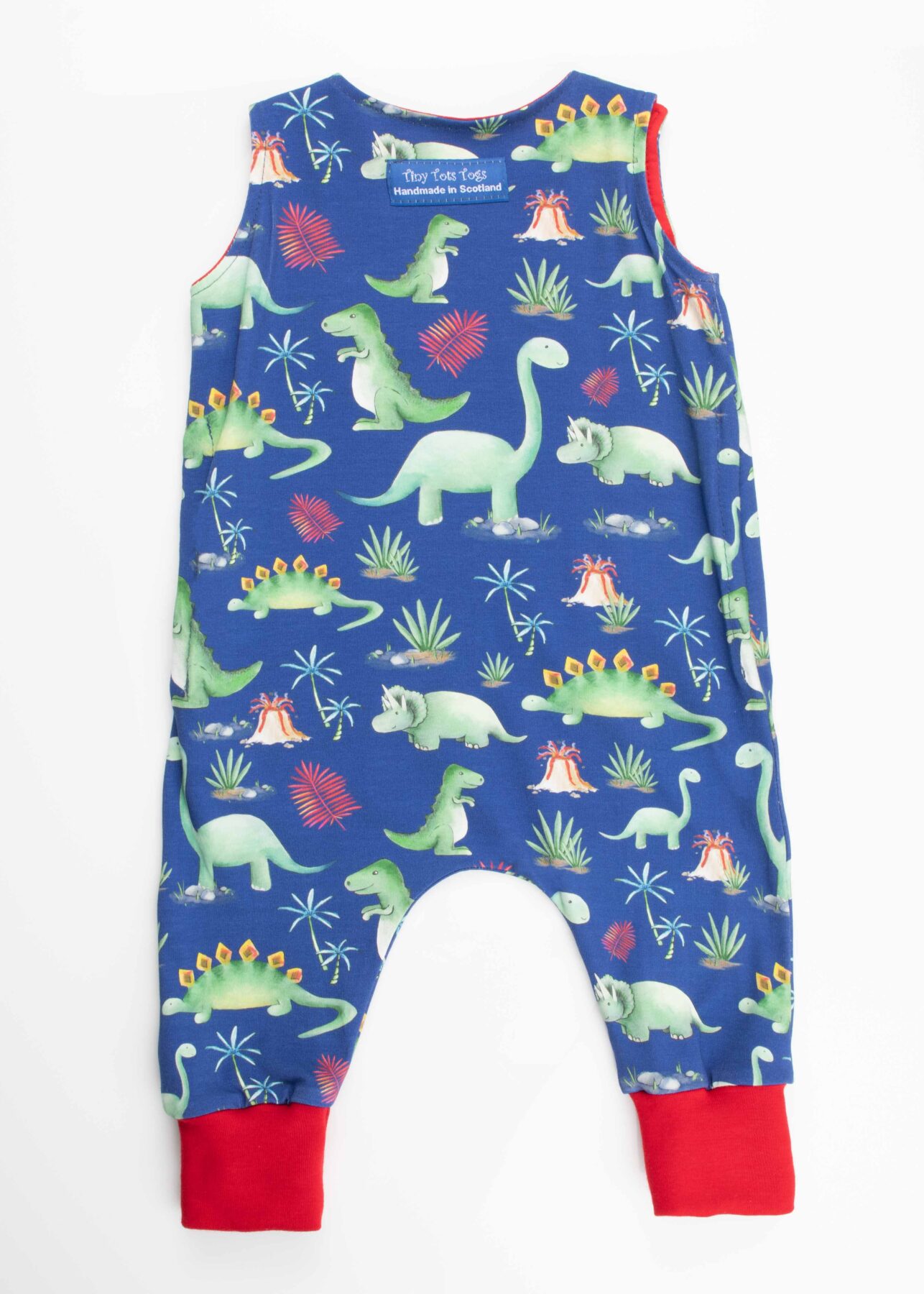 The back of Blue Dinosaur Grow With Me Romper