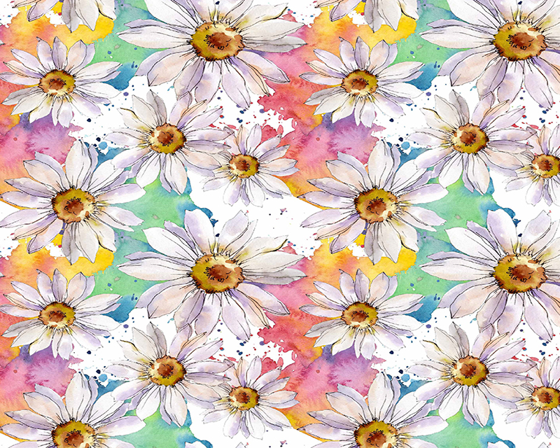 Daisy Grow With Me Leggings