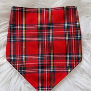Tartan Dribble Bib
